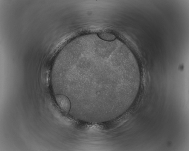 X0000115390115200912011237