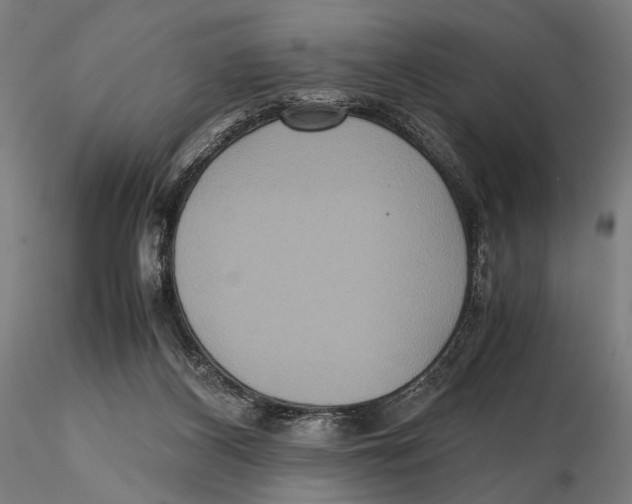 X0000115390116200912011237