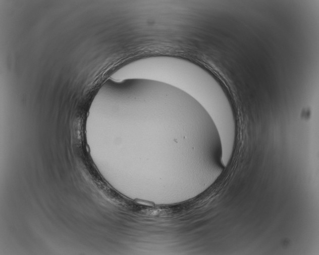 X0000115390117200912011237