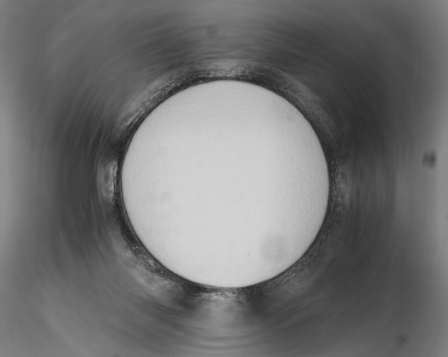 X0000115390118200912011237