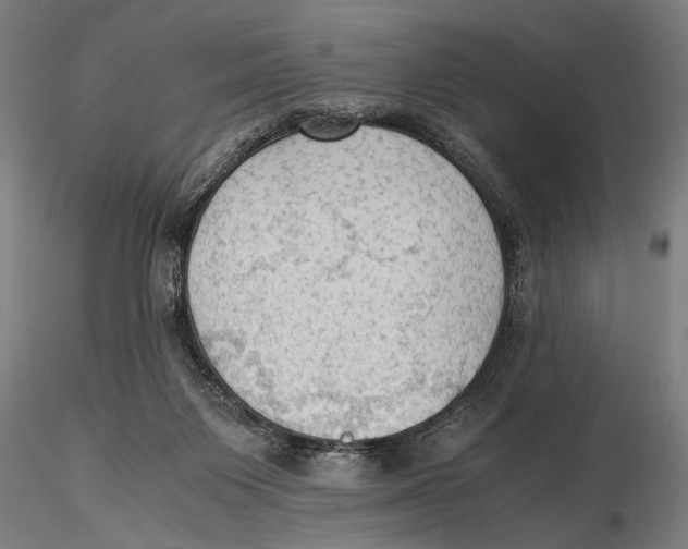 X0000115390119200912011237