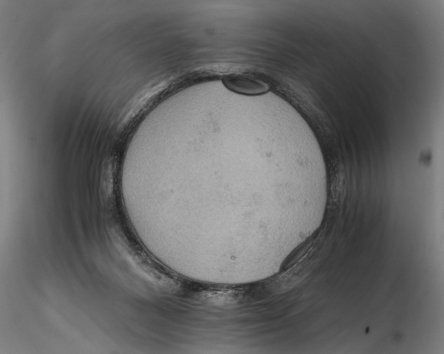 X0000115390120200912011237