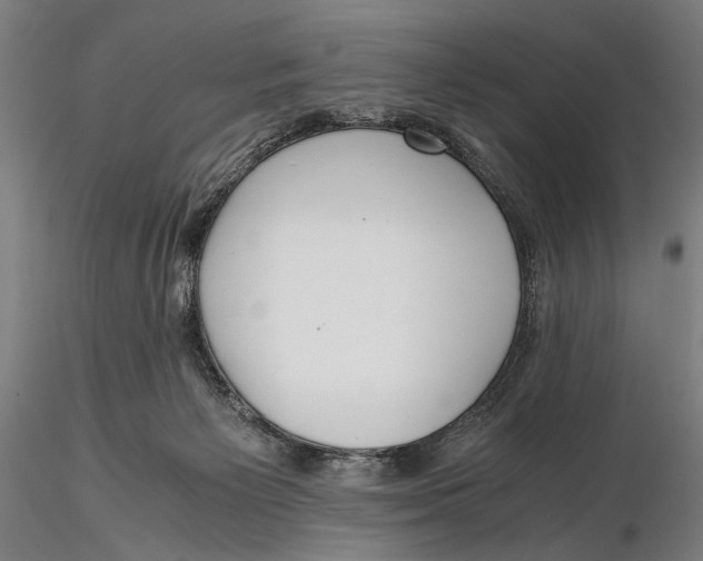 X0000115390125200912011237