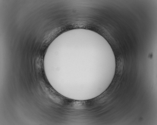 X0000115390126200912011237