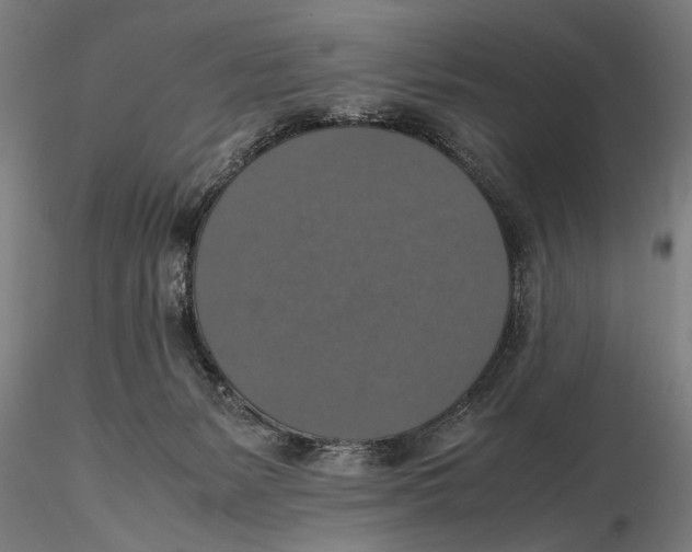 X0000115390127200912011237