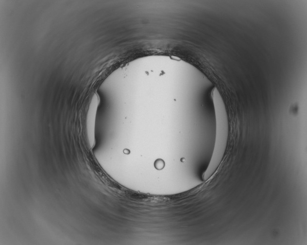 X0000115390128200912011237