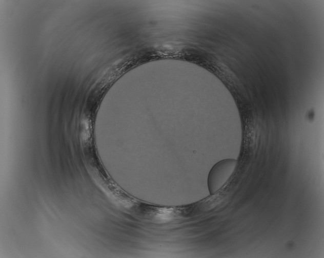 X0000115390130200912011237