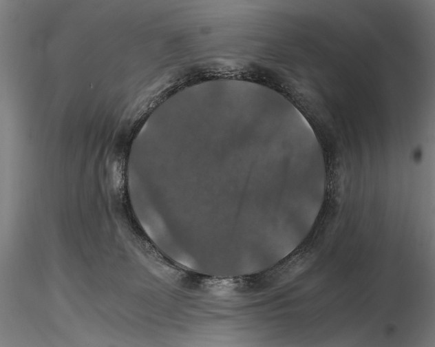 X0000115390131200912011237