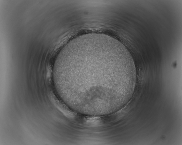 X0000115390132200912011237