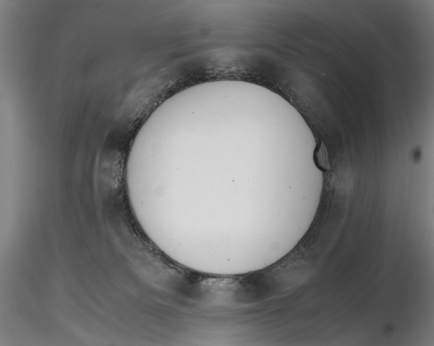 X0000115390133200912011237