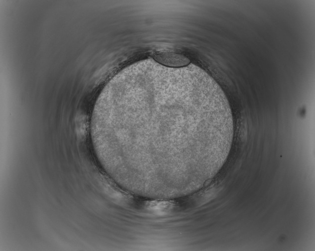 X0000115390135200912011237