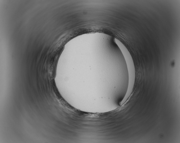 X0000115390140200912011237