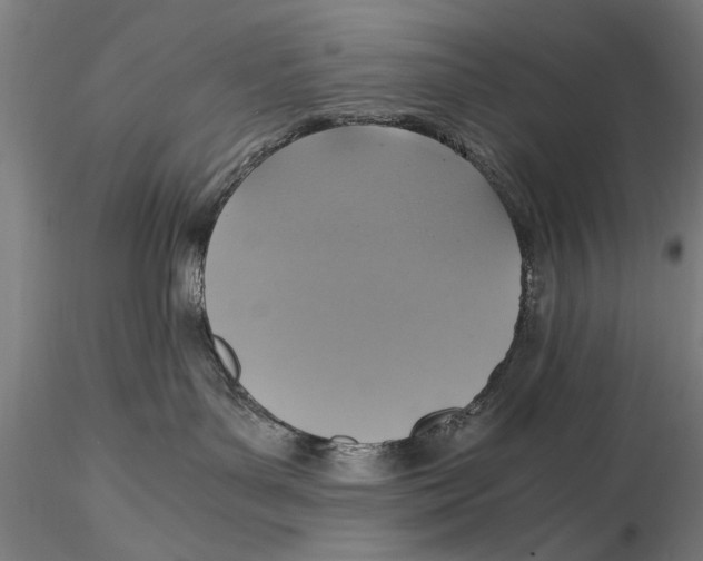 X0000115390143200912011237