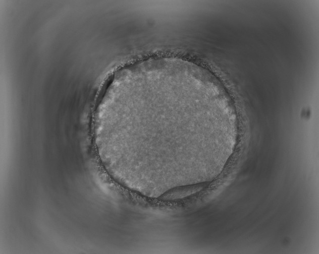 X0000115390144200912011237