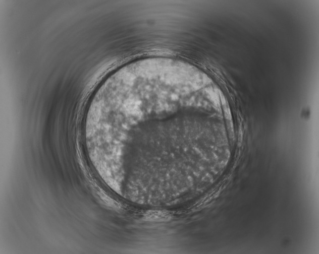 X0000115390145200912011236