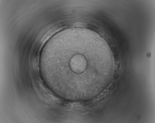 X0000115390146200912011236