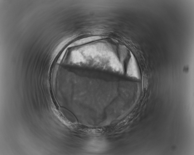 X0000115390147200912011236