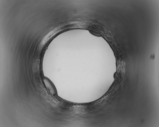 X0000115390150200912011236