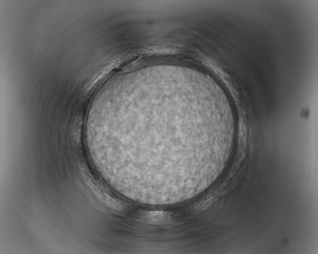 X0000115390153200912011236