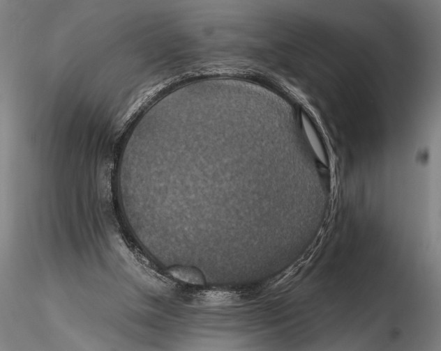 X0000115390154200912011236