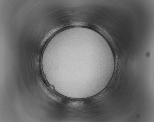 X0000115390155200912011236