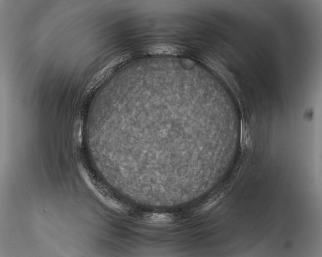 X0000115390157200912011236