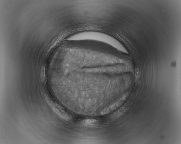 X0000115390158200912011236