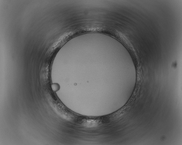 X0000115390163200912011236