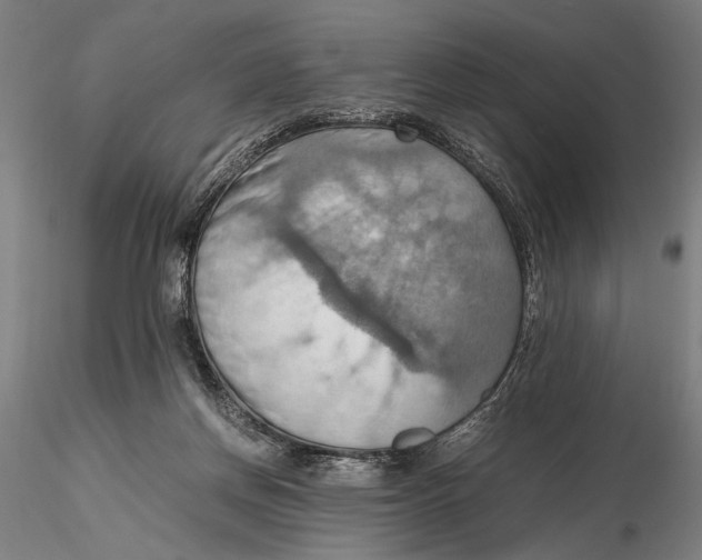 X0000115390166200912011236