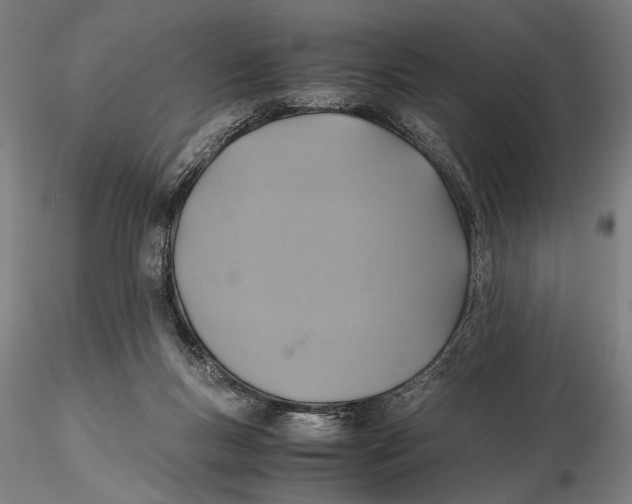 X0000115390167200912011236