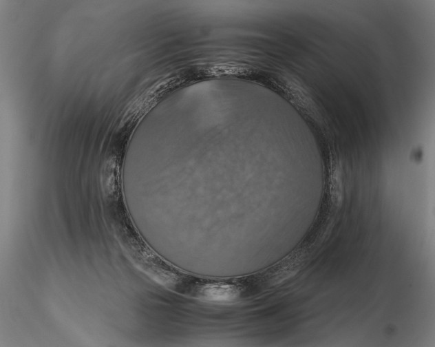 X0000115390169200912011236