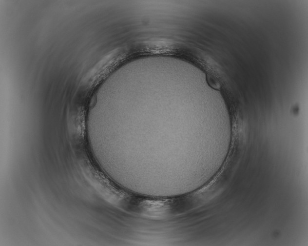 X0000115390170200912011236