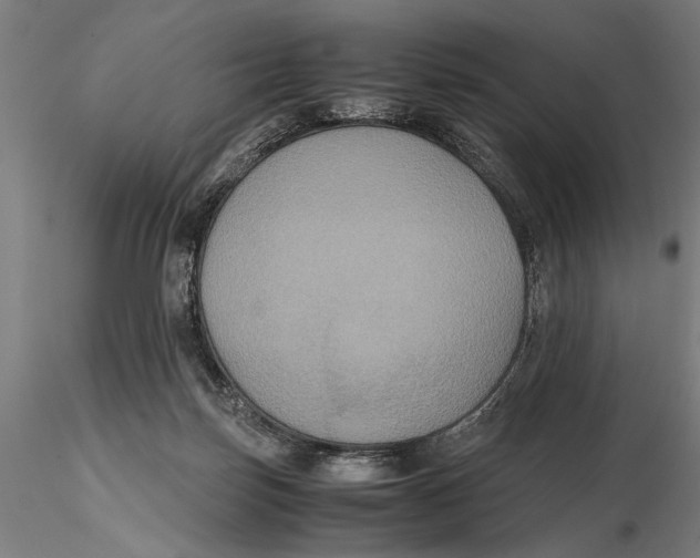 X0000115390171200912011236