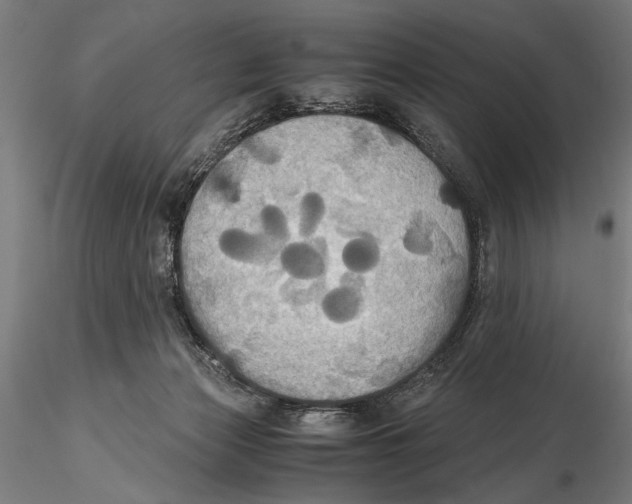 X0000115390173200912011236