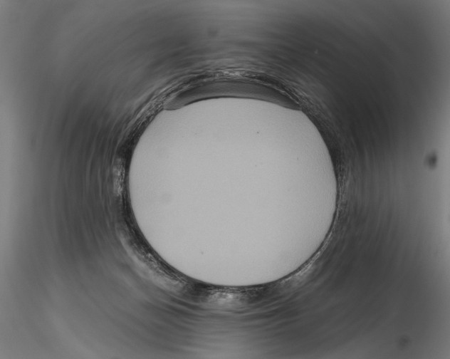 X0000115390174200912011236