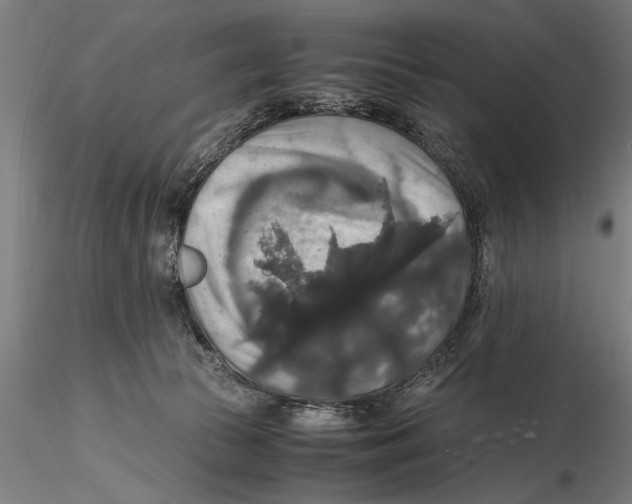 X0000115390177200912011236