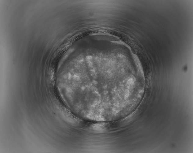 X0000115390178200912011236