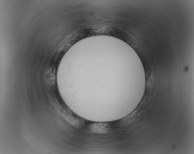 X0000115390179200912011236