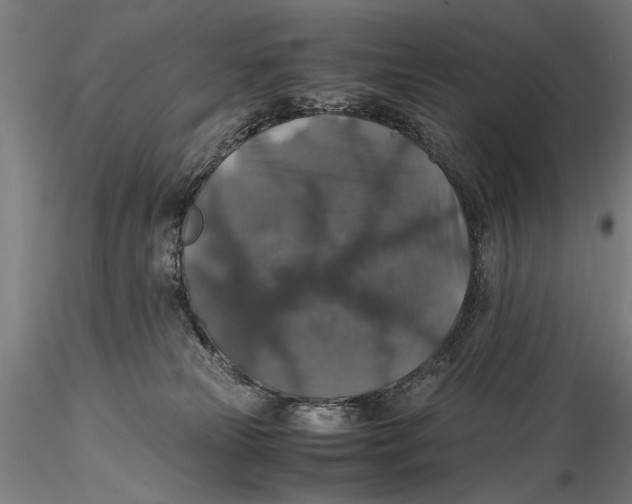 X0000115390181200912011236