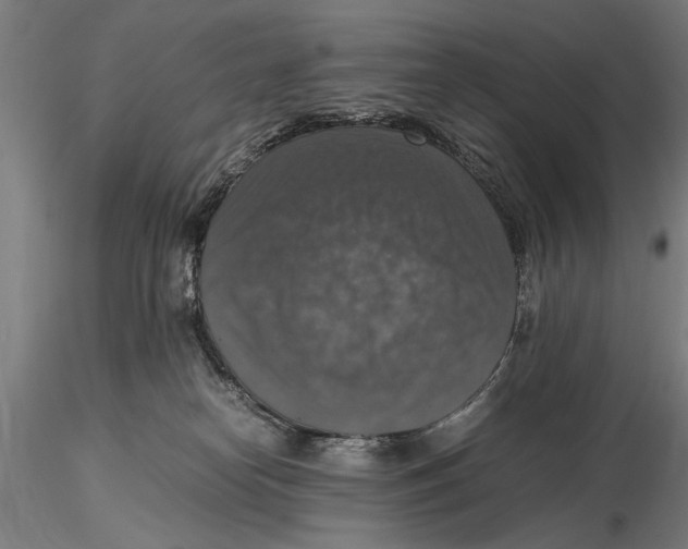 X0000115390182200912011236