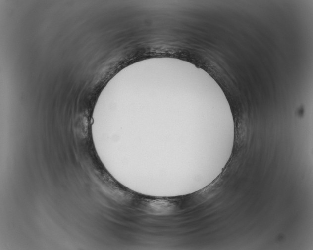 X0000115390183200912011236