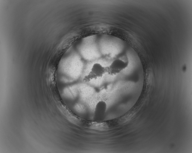 X0000115390185200912011236