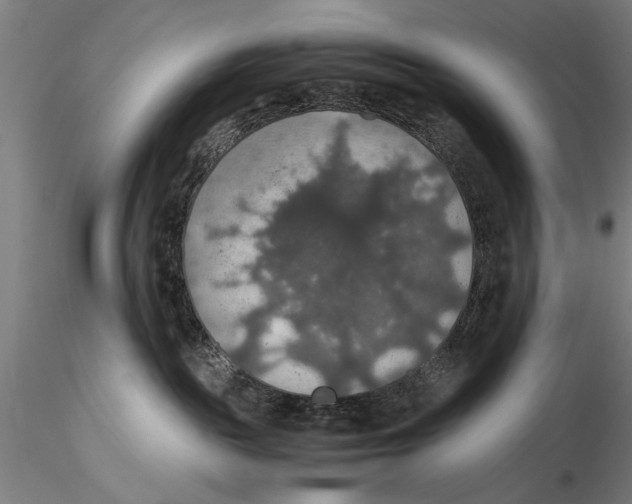 X0000115390189200912011237