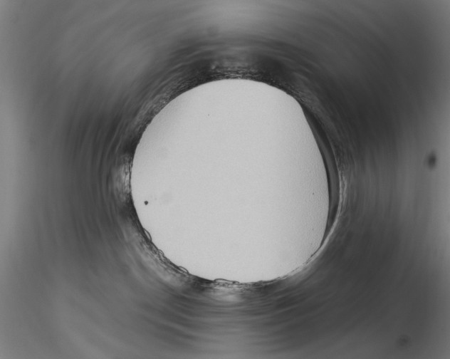 X0000115390190200912011237