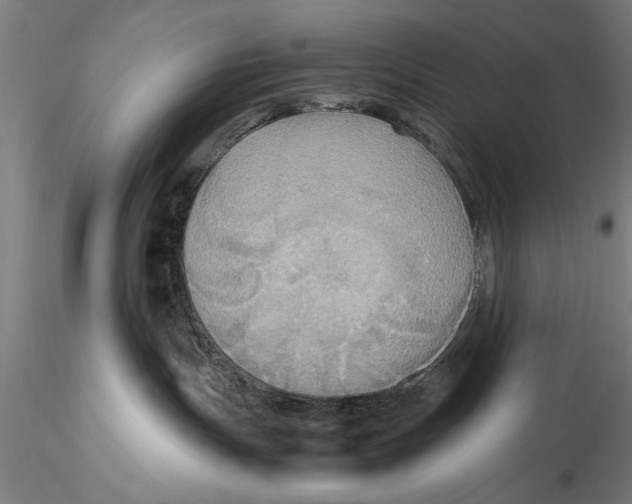 X0000115390191200912011237