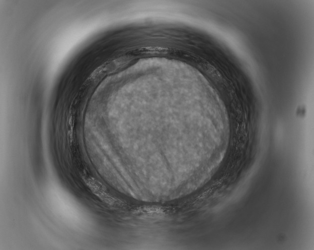 X0000115390194200912011236