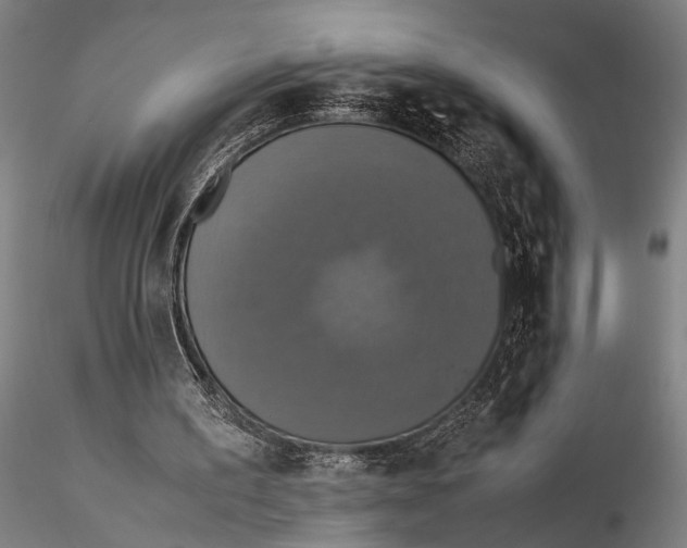 X0000115390195200912011236