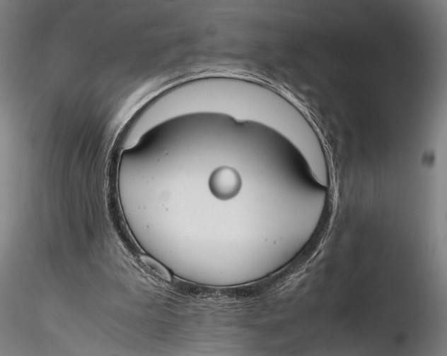 X0000115390199200912011236