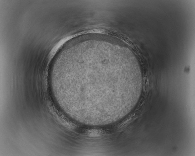 X0000115390200200912011236