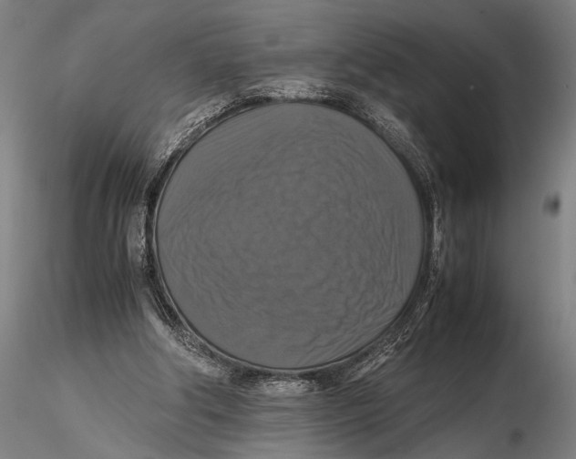 X0000115390202200912011236